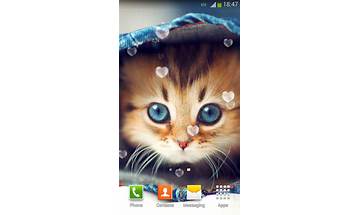 Cute Cats Live Wallpaper for Android - Download the APK from Habererciyes